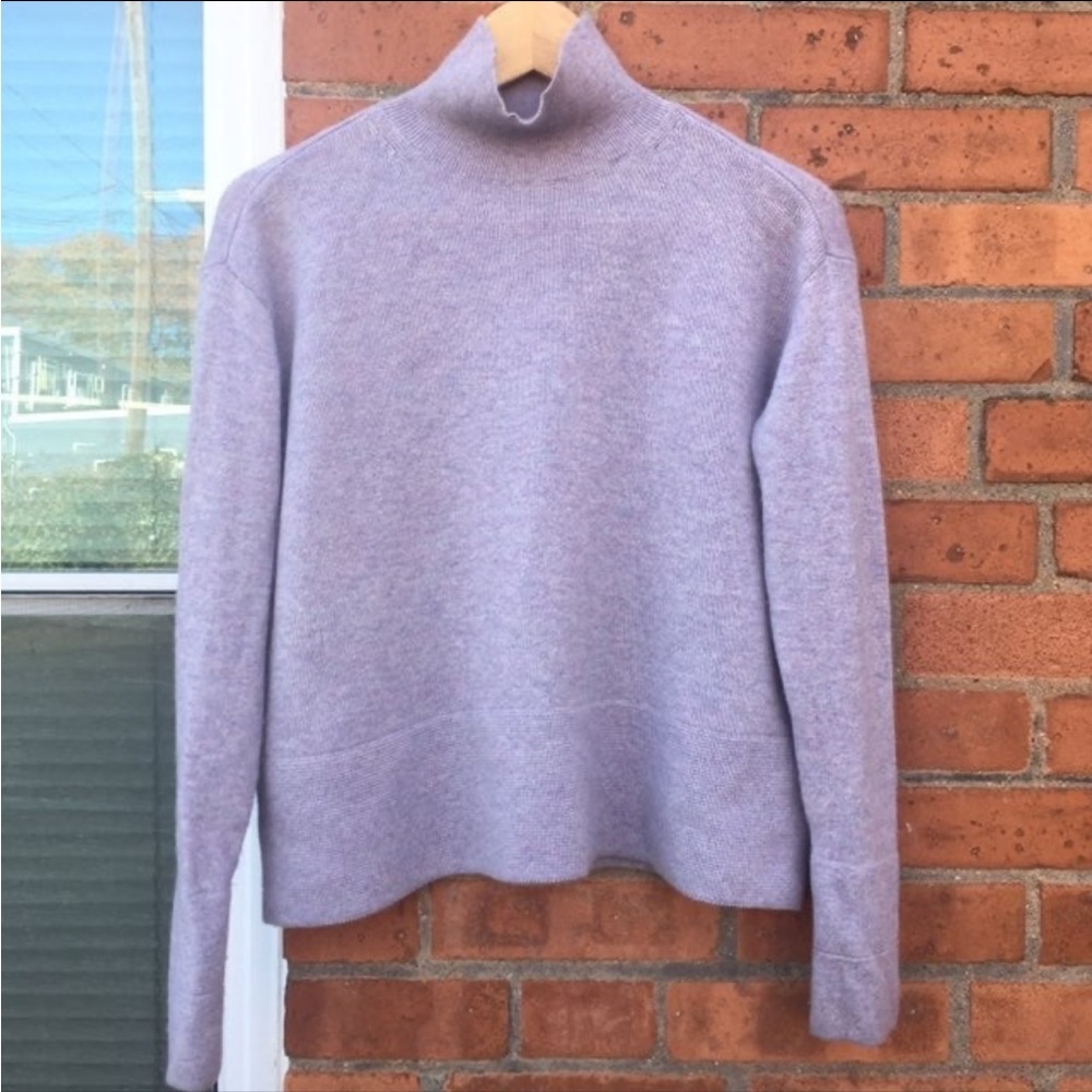 Everlane The Cashmere Square Turtleneck